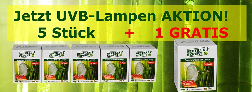Multipacks günstig kaufen - JETZT 5+1 GRATIS Aktion! Multipacks günstig kaufen - JETZT 5+1 GRATIS Aktion!