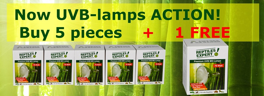 Buy now 5+1 FREE PROMO: Low price multipacks Buy now 5+1 FREE PROMO: Low price multipacks