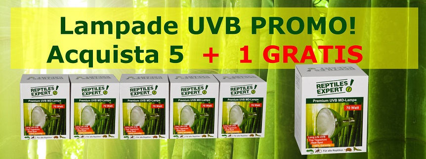 ORA PROMOZIONE 5+1 GRATIS! A basso prezzo ORA PROMOZIONE 5+1 GRATIS! A basso prezzo