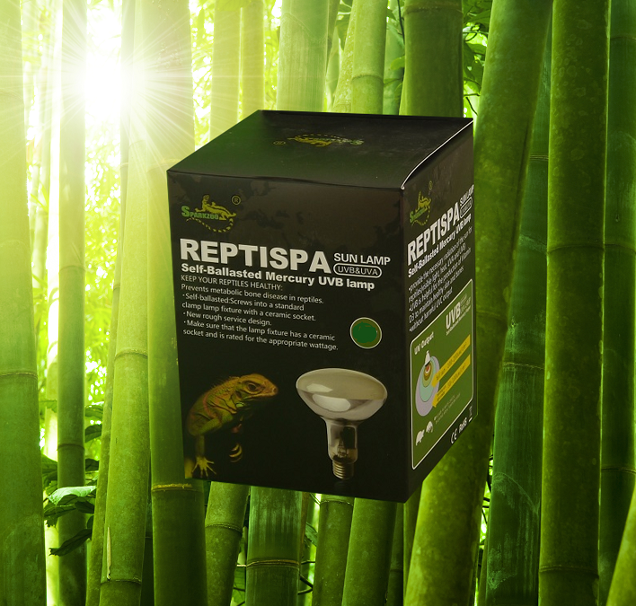 Lampada a vapore di mercurio UVB 100 watt per rettili. Lampade UVB a prezzi bassi. La migliore illuminazione UV per il tuo terrario per tutti i rettili che necessitano di luce UV. Per tartarughe, lucertole, iguane, camaleonti, draghi barbuti,