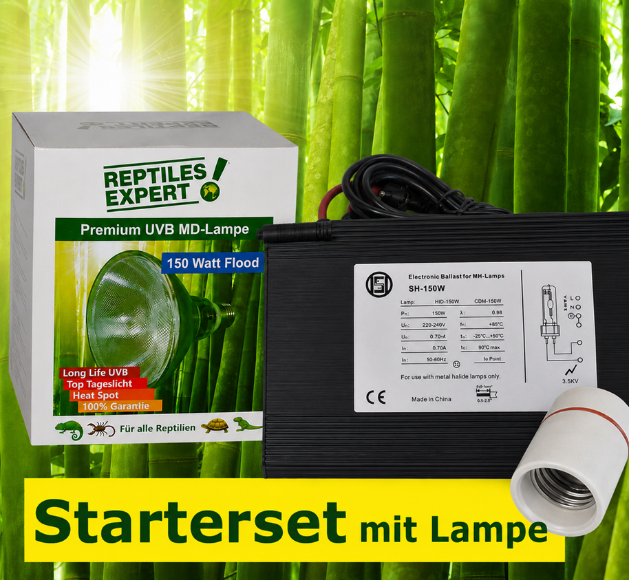 150 watt Electronic ballast and UVB lamp for terrarium complete at a special price. For reptile lighting