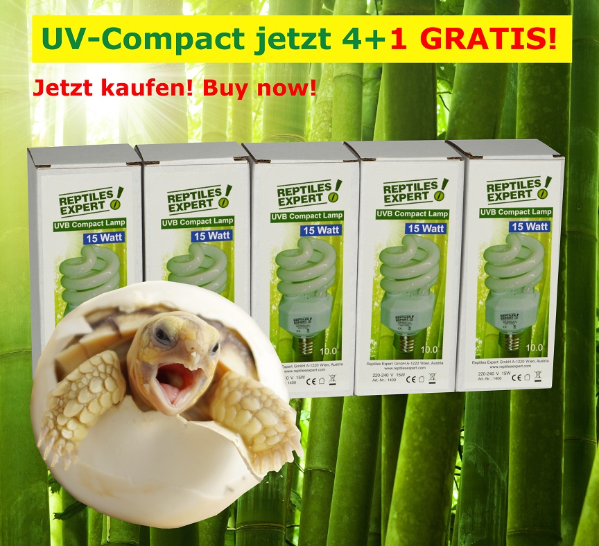 UVB Kompaktlampe Energiesparlampe Compact für Reptilien 15 Watt 10.0 UVB. Die beste Terrarium Beleuchtung für gesunde Reptilien. Kaufen Sie UV Compact Lampen sehr kostengünstig. Für Urwaldtiere, Geckos, Schlangen und Amphibien / Frösche. 