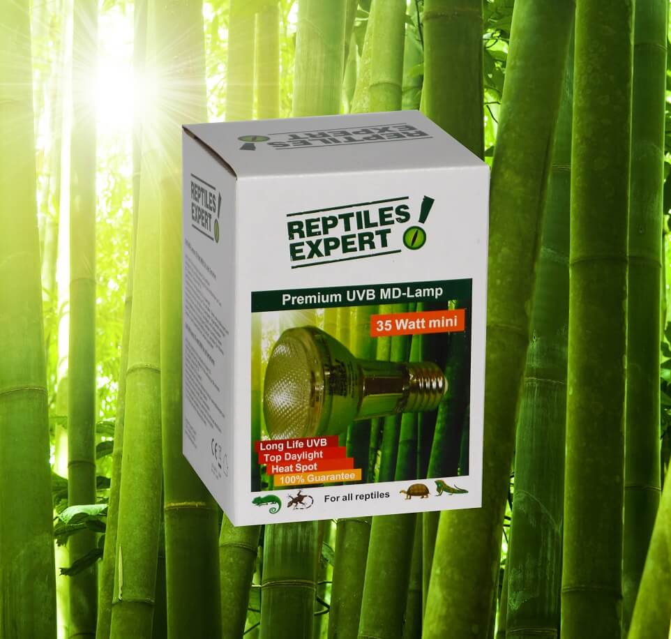 Mini lampe UV de 35 watts terrarium. Spot UVB reptile pour jeunes animaux. Eclairage UV à petit prix