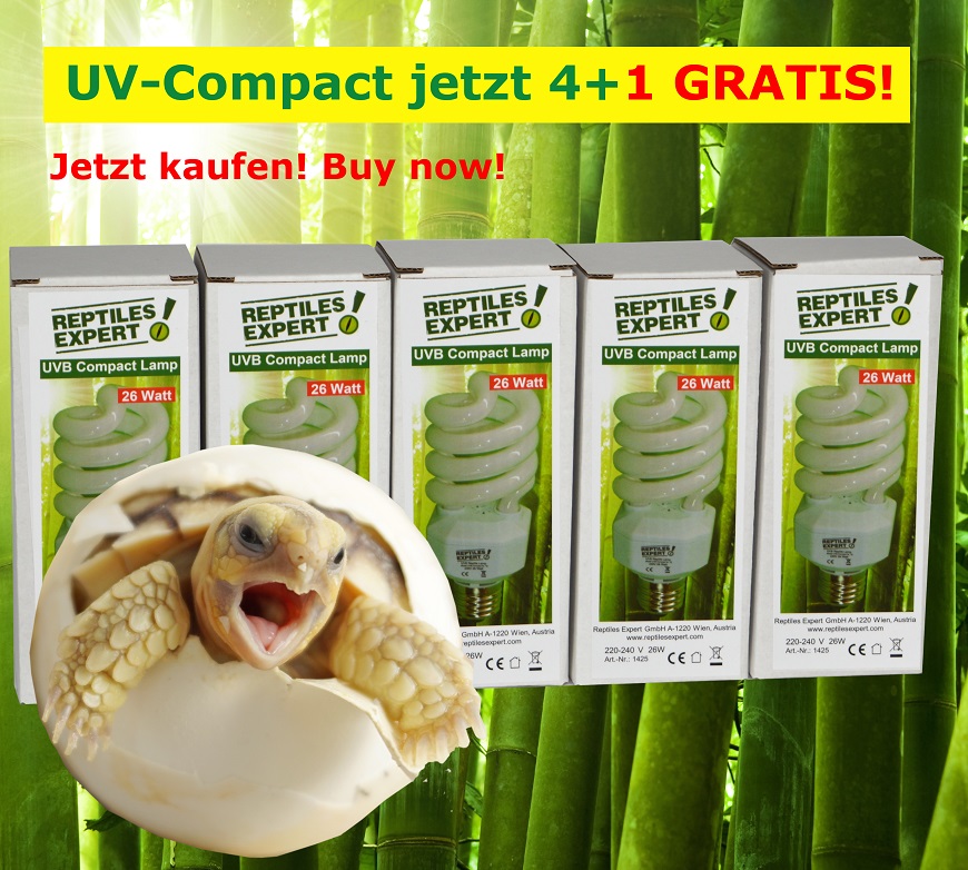 Jetzt 4+1 Gratis UV Compactlampe kaufen