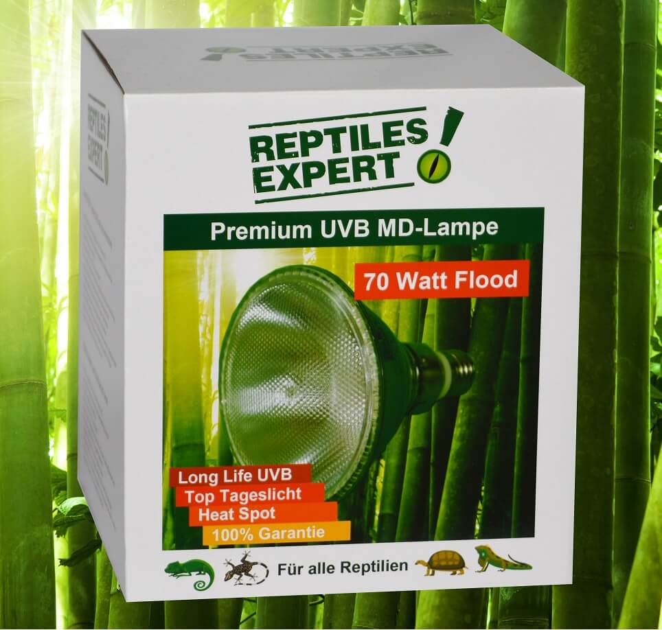 Lampe UV de 70 watts Flood terrarium. Spot UVB reptile. Eclairage UV à petit prix