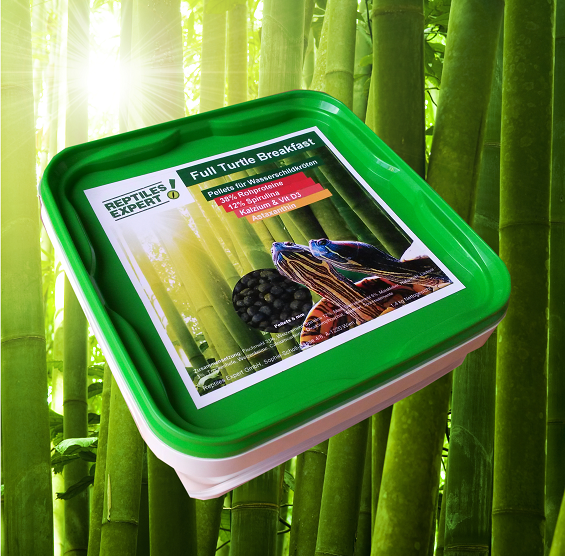 
Futter: Pellets für Wasser Schildkröten - hochwertige Reptiliennahrung. Food: pellets for water turtles - high quality reptile food. Nourriture: pellets pour tortues d'eau - nourriture pour reptiles de haute qualité. Cibo: pellet per tartarughe d'acqua 