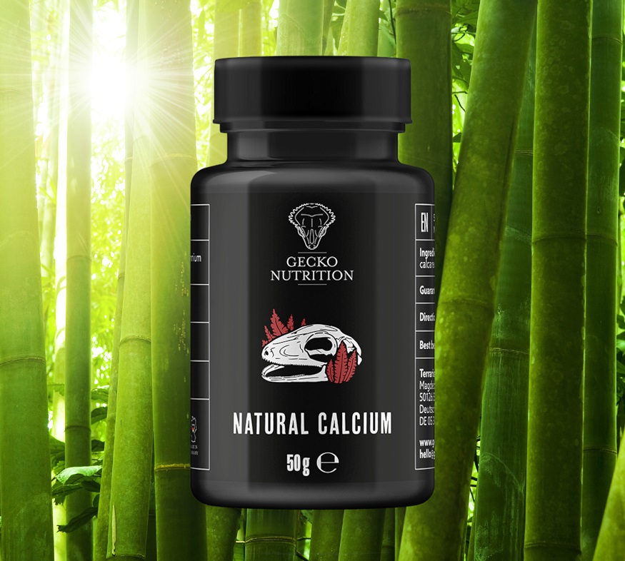 Gecko Nutrition Natural Calcium