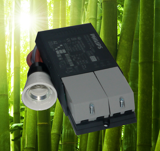 Reattore elettronico per terrario completi ad un prezzo speciale. Per l'illuminazione dei rettili.