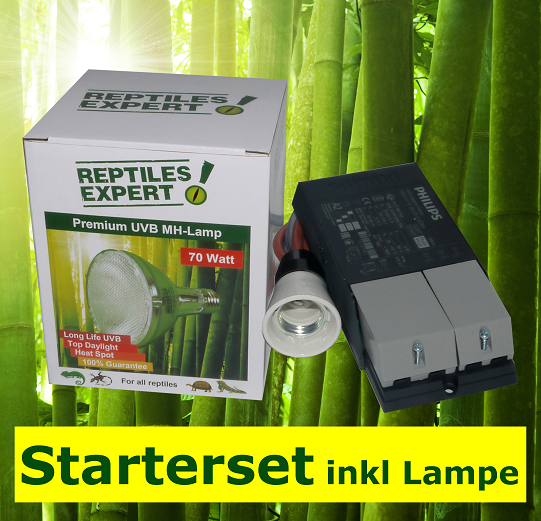 Reattore elettronico e lampada UVB per terrario completi ad un prezzo speciale. Per l'illuminazione dei rettili.
