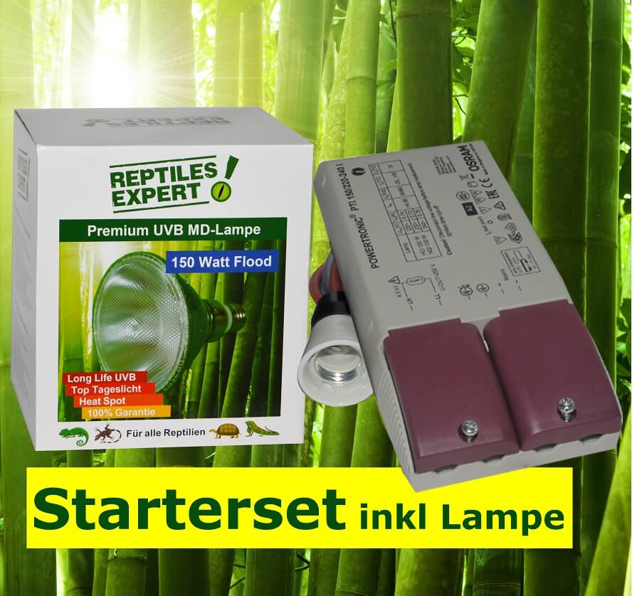 Reattore elettronico e lampada UVB per terrario completi ad un prezzo speciale. Per l'illuminazione dei rettili.