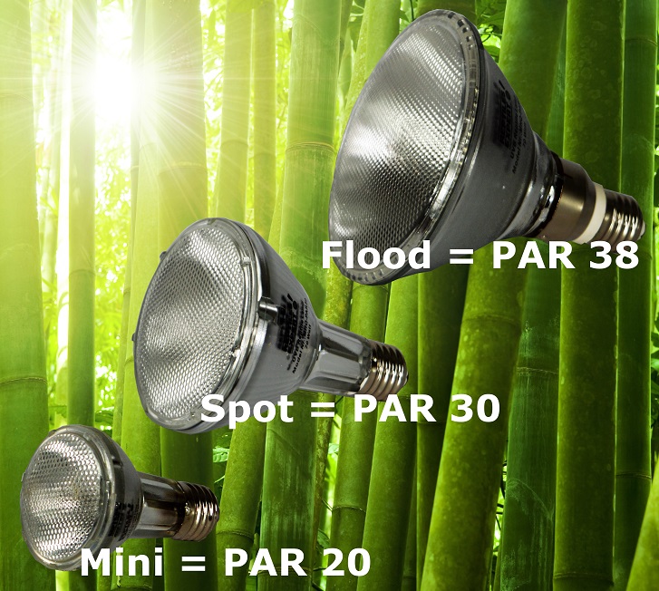 Reptiles Expert Tipp - Unterschied bei UV Lampen zwischen Flood Spot und MIni