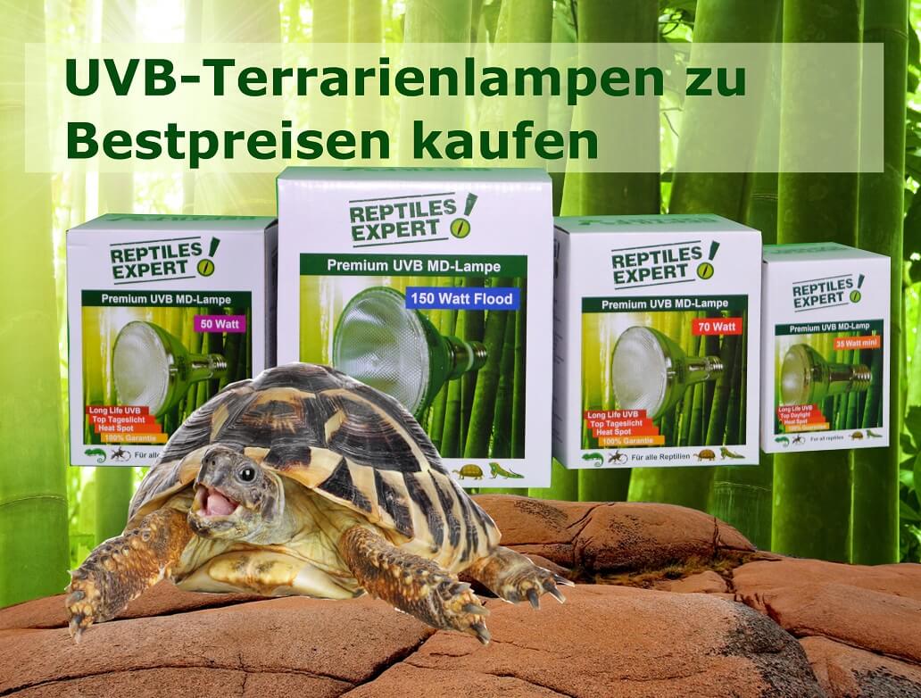 https://www.reptilesexpert.com/de/hier-uvb-lampen-zu-bestpreisen-kaufen.html