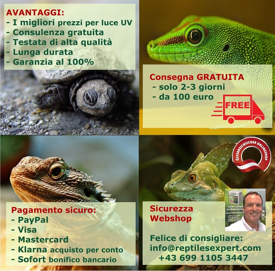 Lampada da terrario UVB per rettili - consegna gratuita da 100 euro, garanzia al 100%, pagamento sicuro