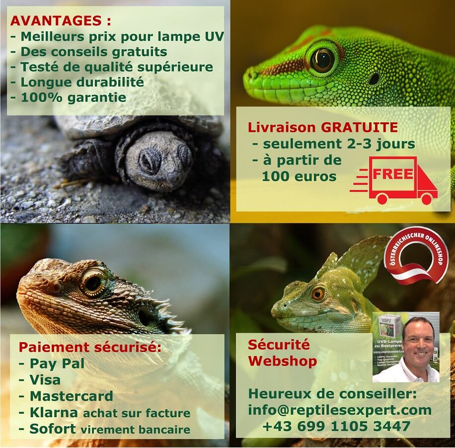 Lampe UVB terrarium pour reptiles - livraison gratuite à partir de 100 euros, garantie 100%, paiement sécurisé