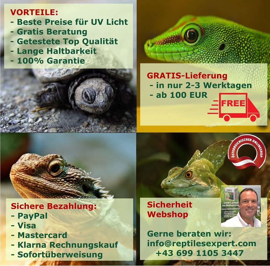 UVB Terrarien Lampe für Reptilien - Gratislieferung ab 100 Euro, 100% Garantie, Sichere Bezahlung