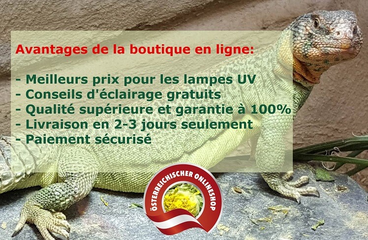 Meilleur prix garanti Lampes UVB reptiles Conseils légers gratuits d'experts Qualité supérieure et garantie à 100% Livraison en seulement 2-3 jours et livraison gratuite à partir de 100 euros paiement sécurisé