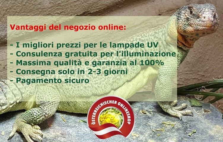 Miglior prezzo garantito lampade UVB rettili Consulenza sulla luce gratuita da parte di esperti Massima qualità e garanzia al 100%. Consegna in soli 2-3 giorni e consegna gratuita a partire da 100 euro pagamento sicuro