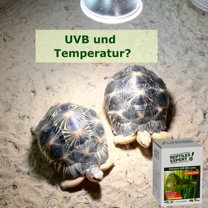 UVB Strahlung und Temperatur