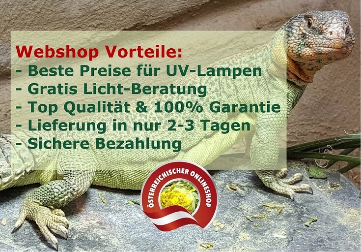 Bestpreisgarantie UVB Lampen Reptilien Gratis Licht Beratung von Experten Top Qualität und 100% Garantie Lieferung in nur 2-3 Tagen und ab 100 Euro Gratislieferung Sichere Bezahlung